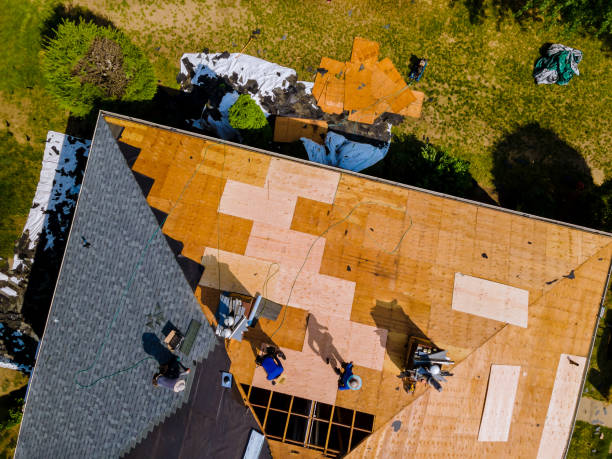 Best Storm Damage Roof Repair  in Independence, MN